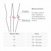 Knee Support - Knee Cap - Open Patella - 5011 - (Pair)